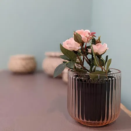 בית נופש Maison Cosy - Centre - Perche