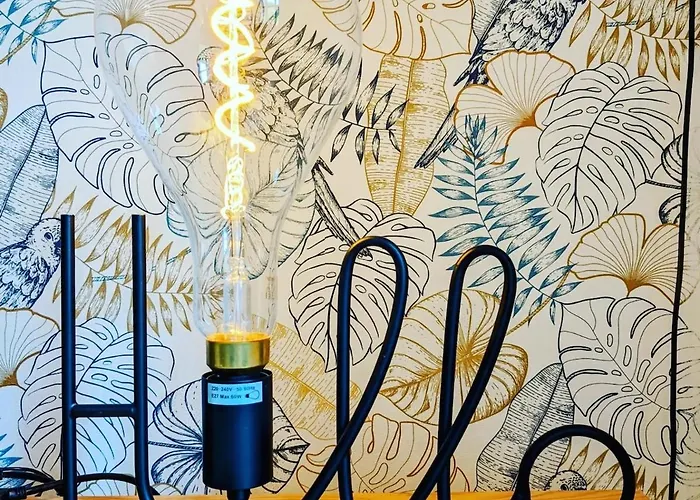 Maison Cosy - Centre - Perche *